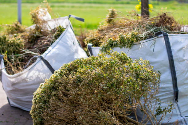 Best Electronics Removal Services  in Burlington, WI